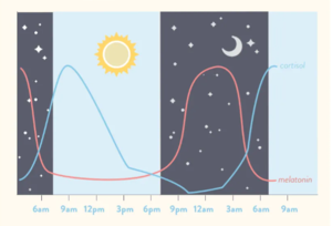 【阅读笔记】定量预测昼夜节律对光的响应特性@Frontiers in Neuroscience
